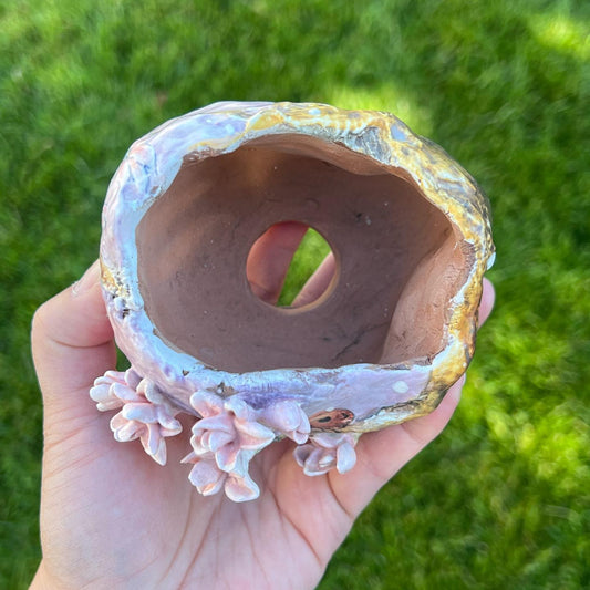 Lavender Pink Saucer Magnolia Tree with Lady Bugs Planter