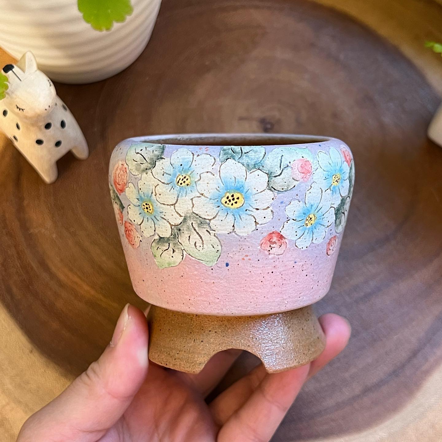 Spring Blush Blossom Planter