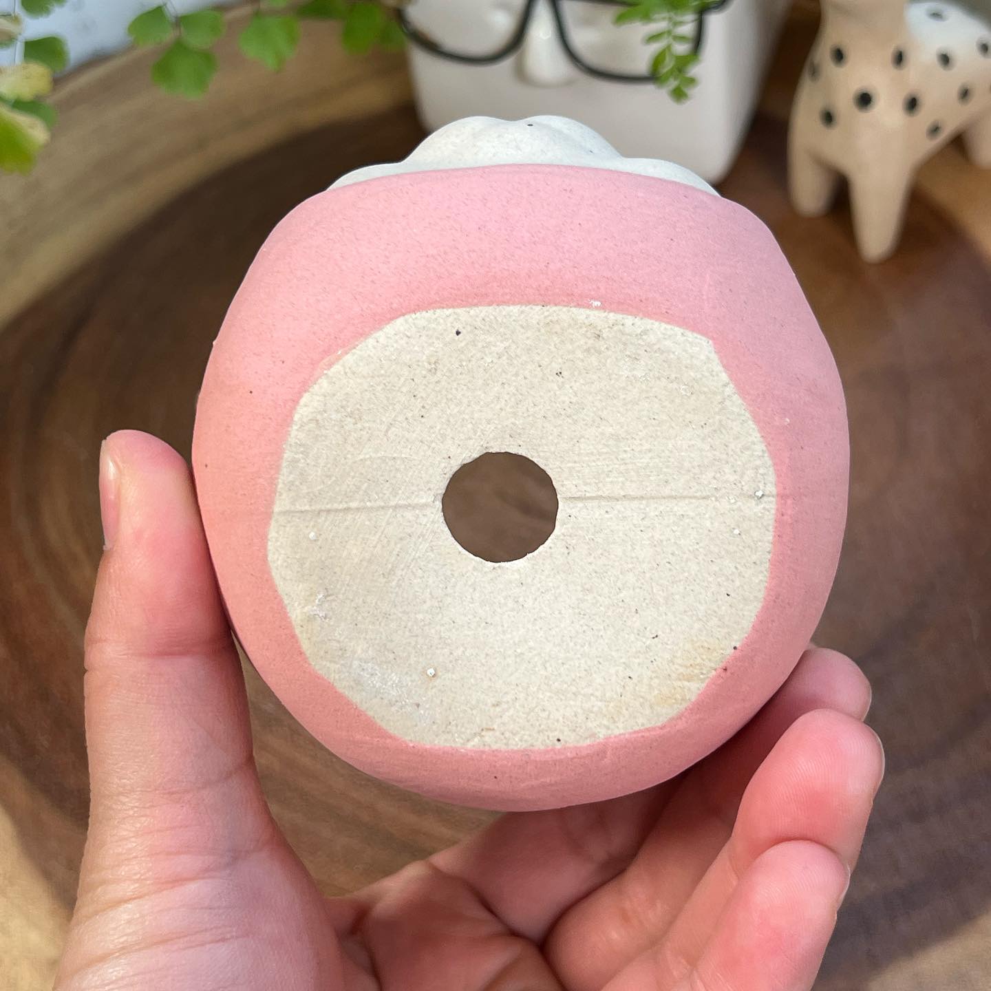 Pink Cat in Disguise- Cat Series Planter