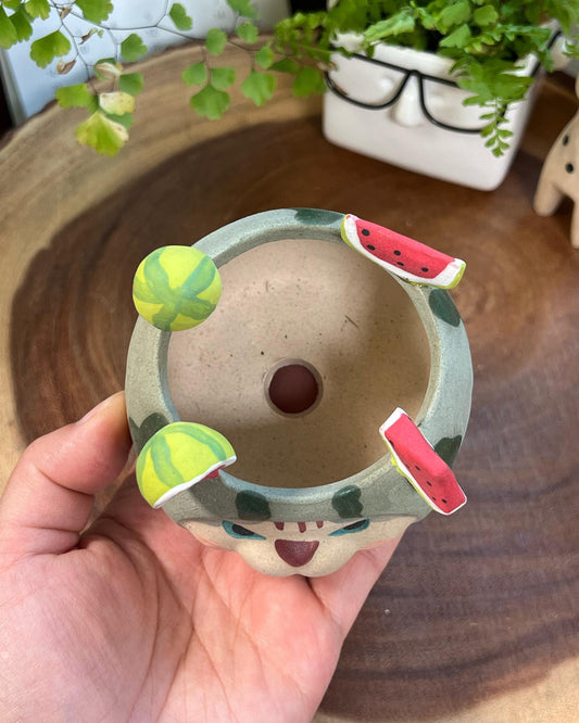Watermelon in Disguise- Cat Series Planter