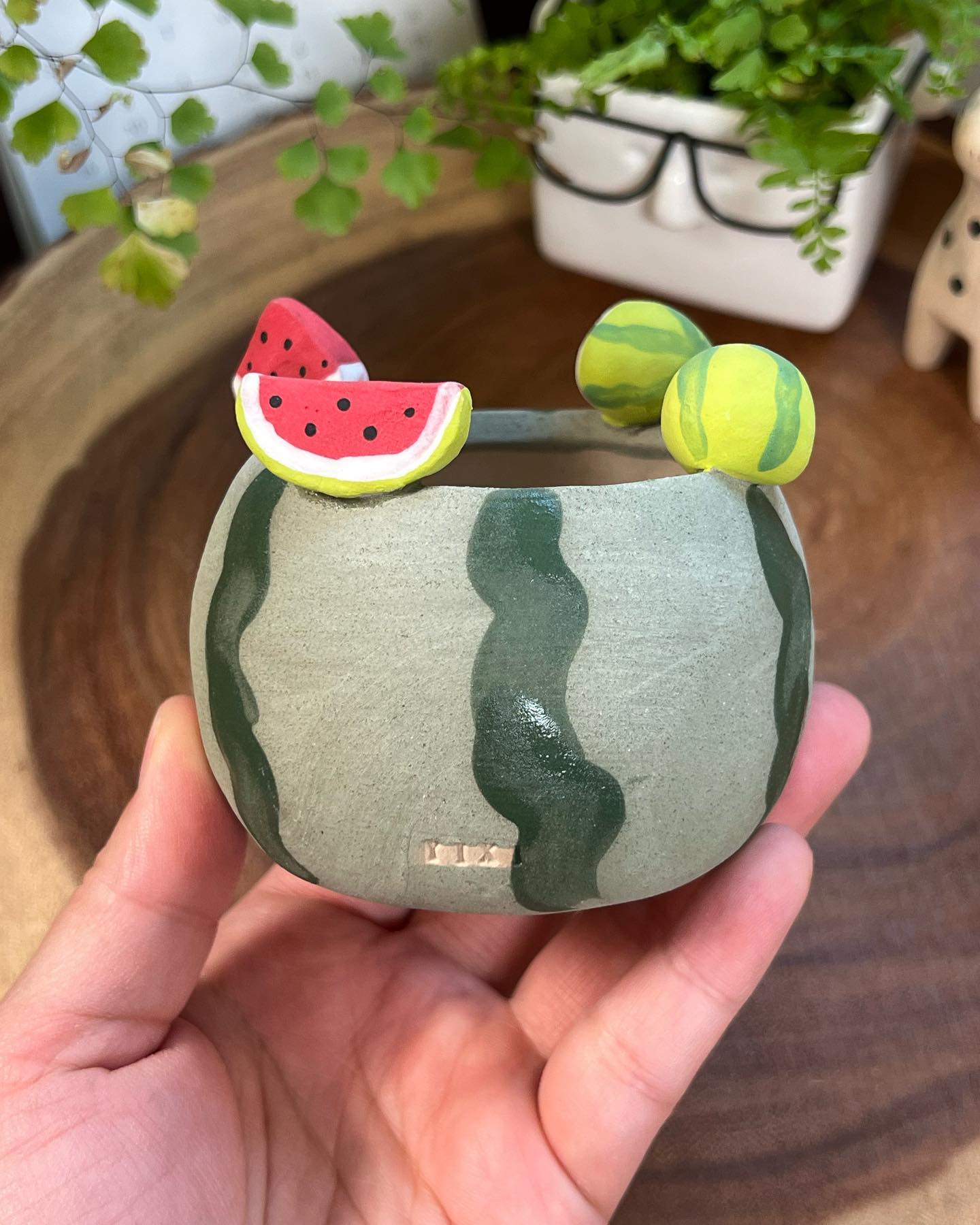 Watermelon in Disguise- Cat Series Planter