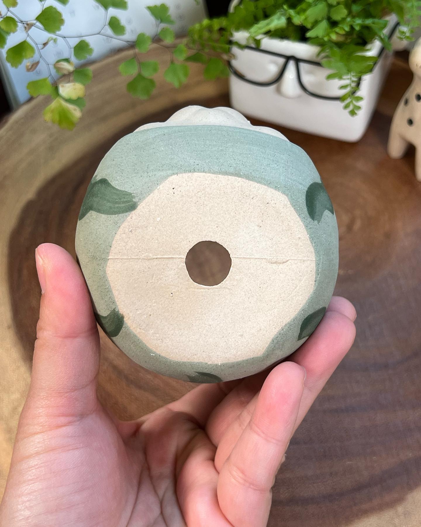Watermelon in Disguise- Cat Series Planter