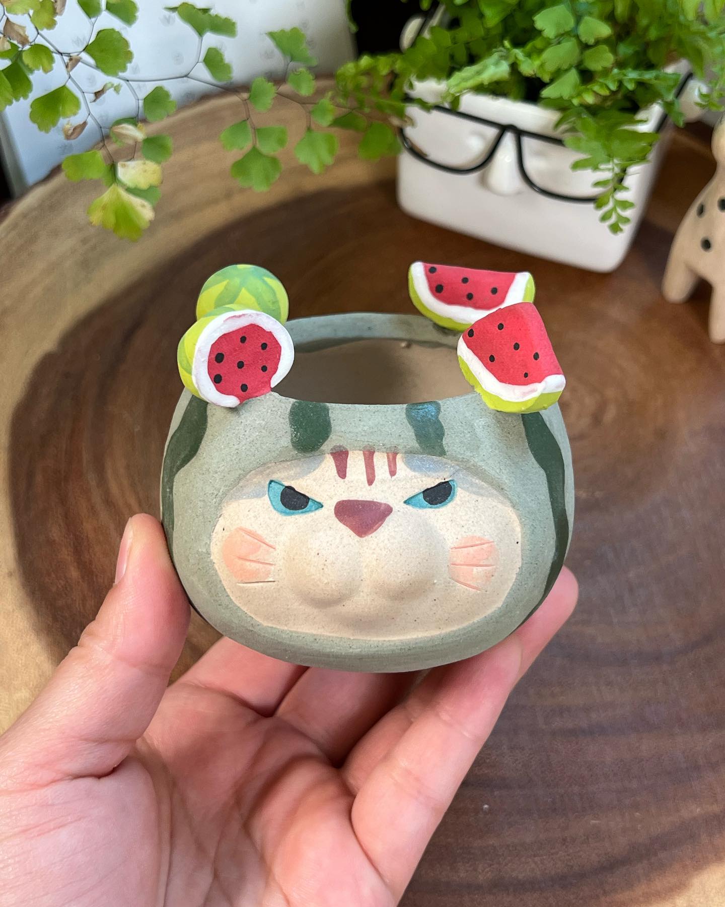 Watermelon in Disguise- Cat Series Planter