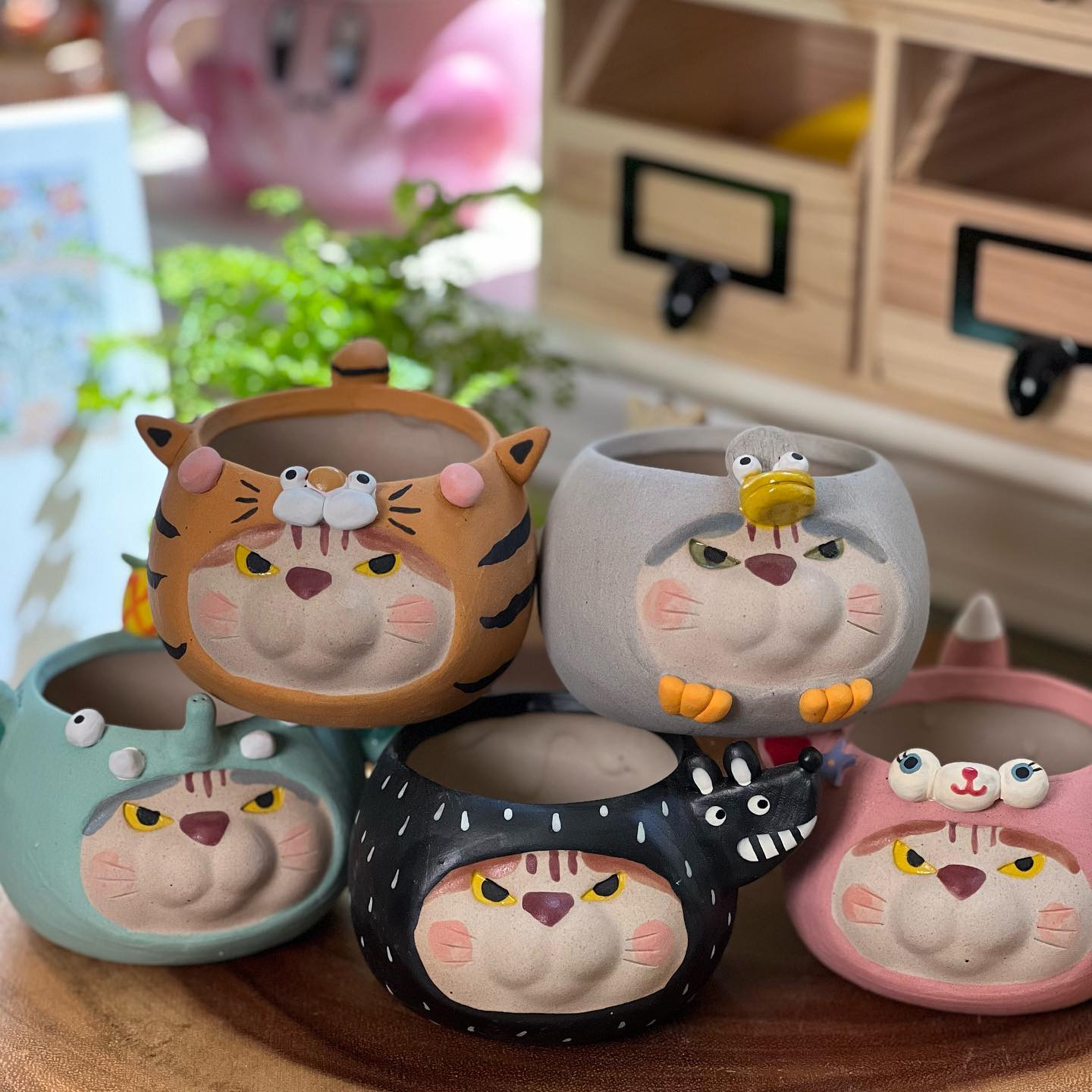 Grey Duck in Disguise- Cat Series Planter