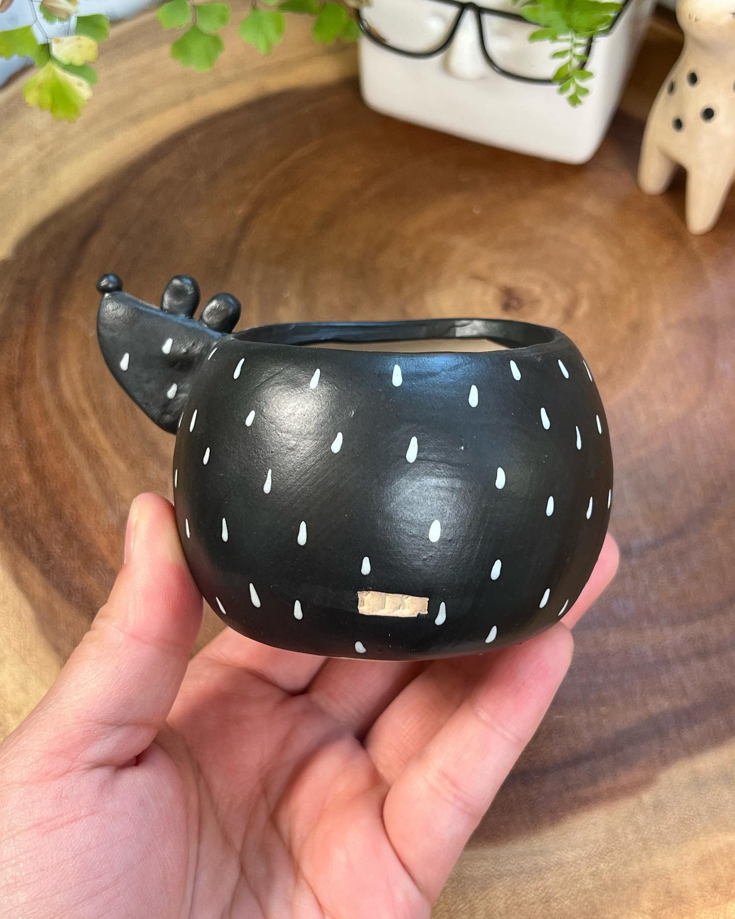 Black Dog in Disguise- Cat Series Planter