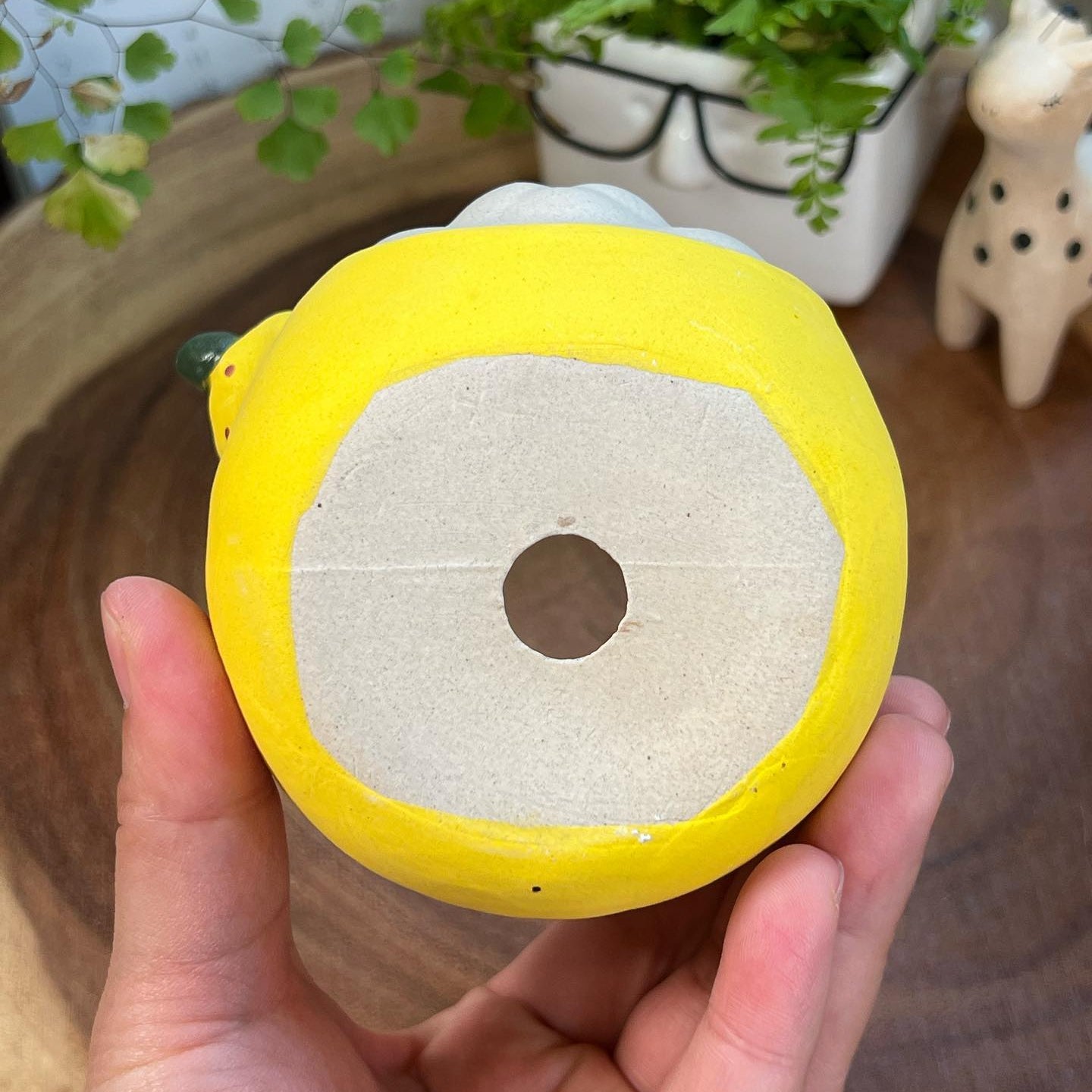 Yellow Pear in Disguise Handmade pot - Cat Series