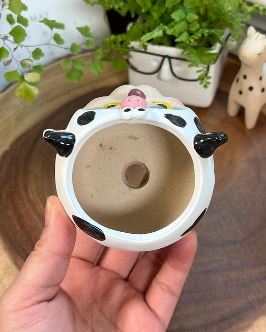 Milk Cow in Disguise- Cat Series Planter
