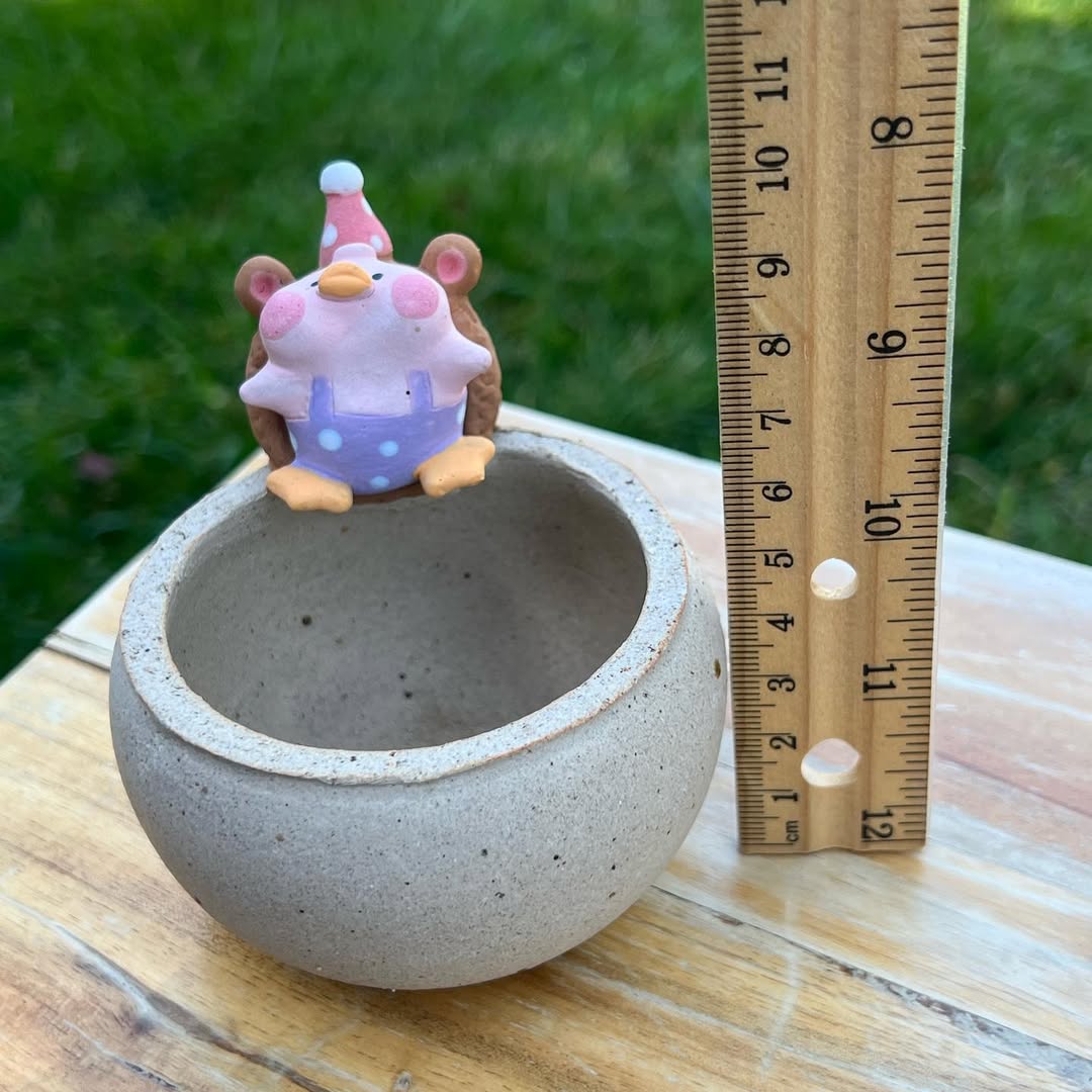 Brown Bear Beanbag Ducky Planter