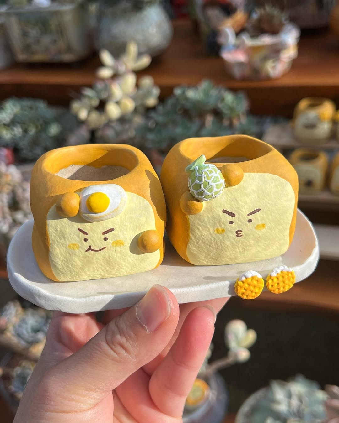 Mini Cute Toast Bread Planter