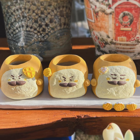 Triple Mini Cookie Planter Tray