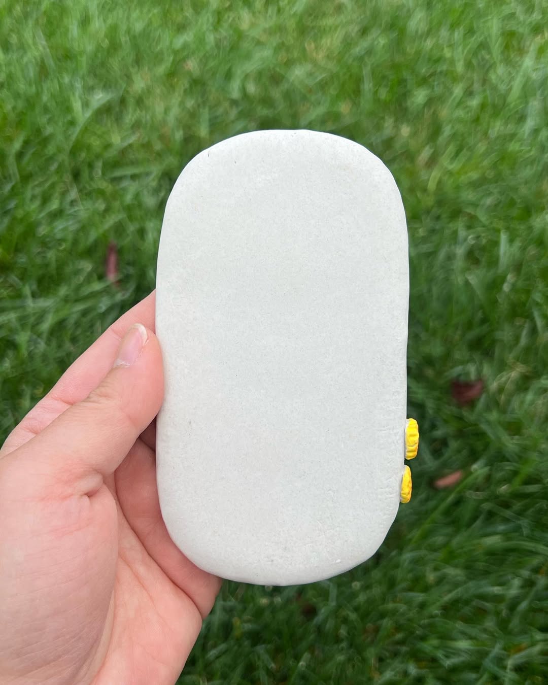 Double Mini Cookie Planter Tray