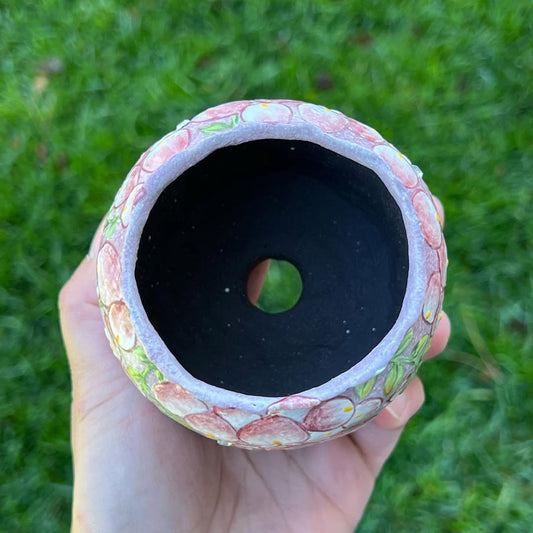 Pink Wisteria Floribunda Planter