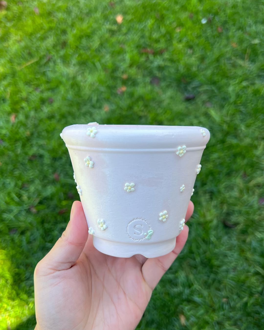 Summer Blossom Hedge Planter