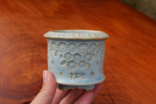 Pastel Blue Daisy Bloom Planter