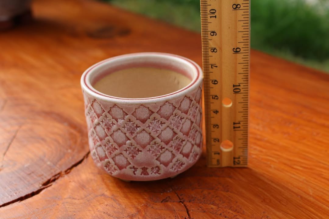 Pastel Red Diamond Pattern Planter
