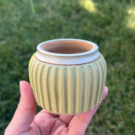 Hand-Painted Happy Lion Planter