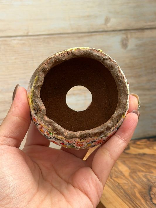 Hand Painted Planter with Apricot Blossom