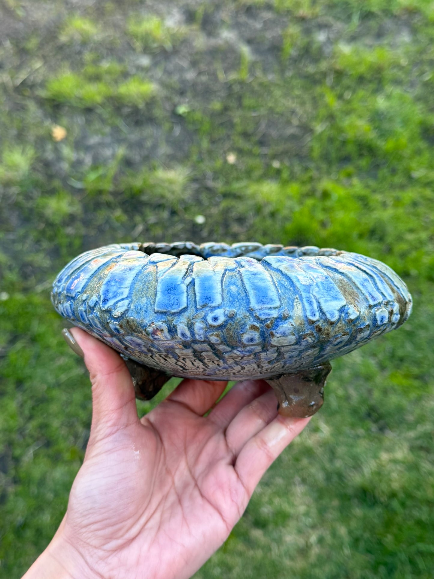 Blue Round Disk