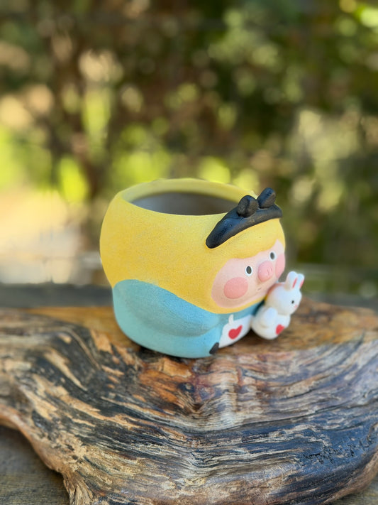 Piggy pot - Alice in wonderland