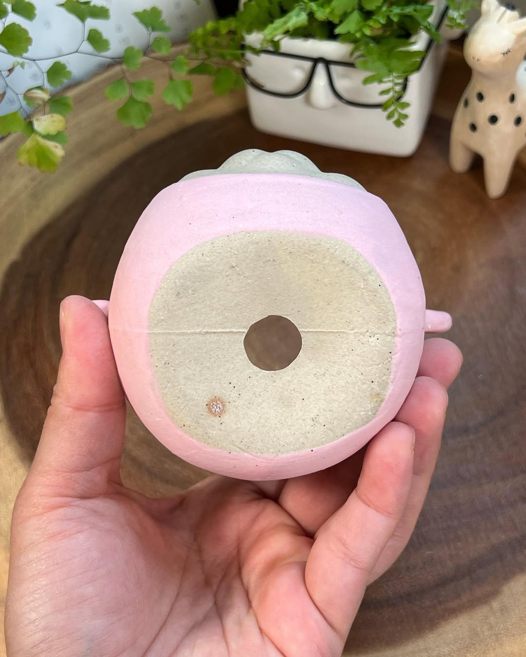 Pink Bear In Disguise- Cat Series Planter
