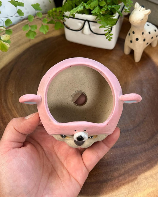 Pink Bear In Disguise- Cat Series Planter