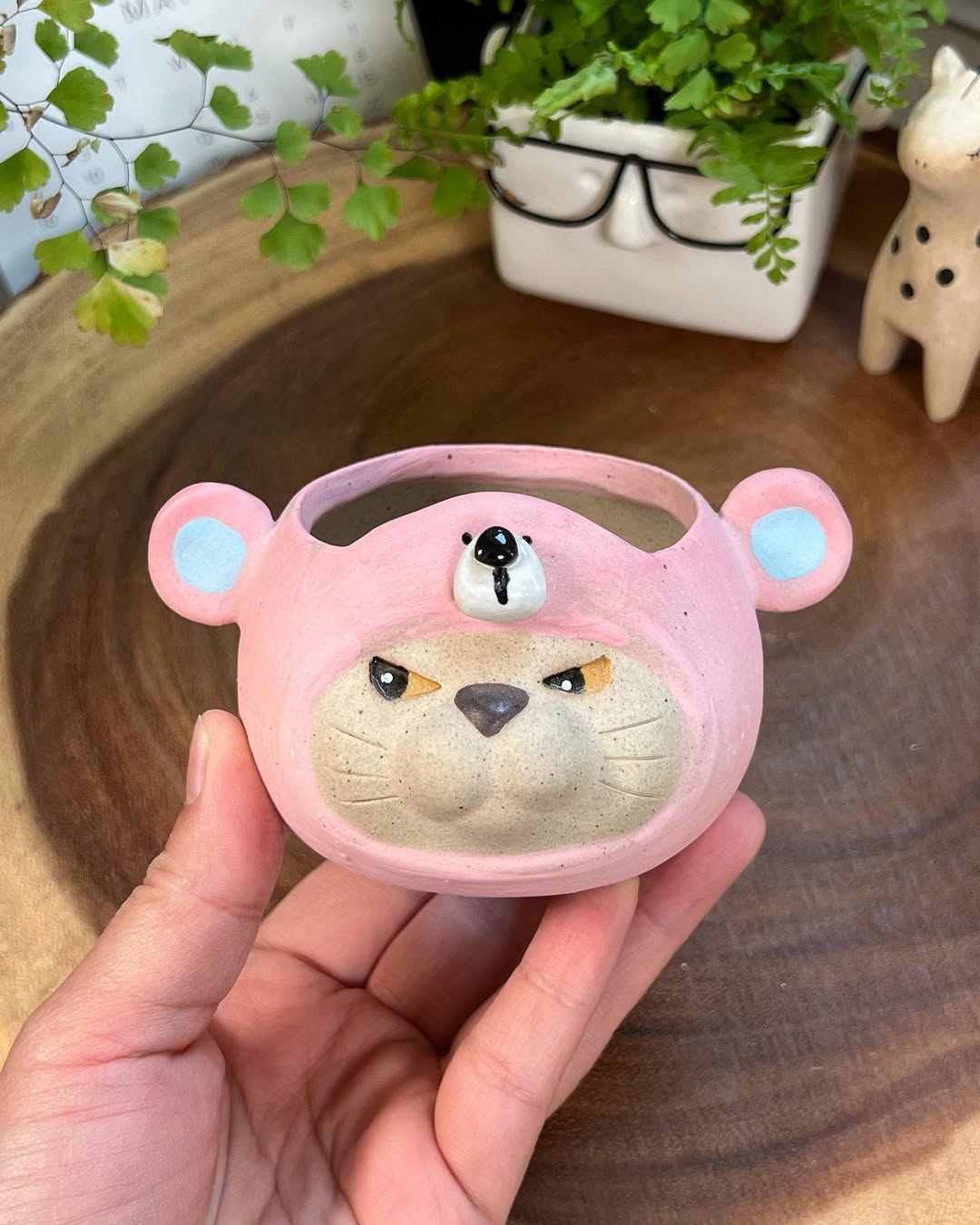 Pink Bear In Disguise- Cat Series Planter