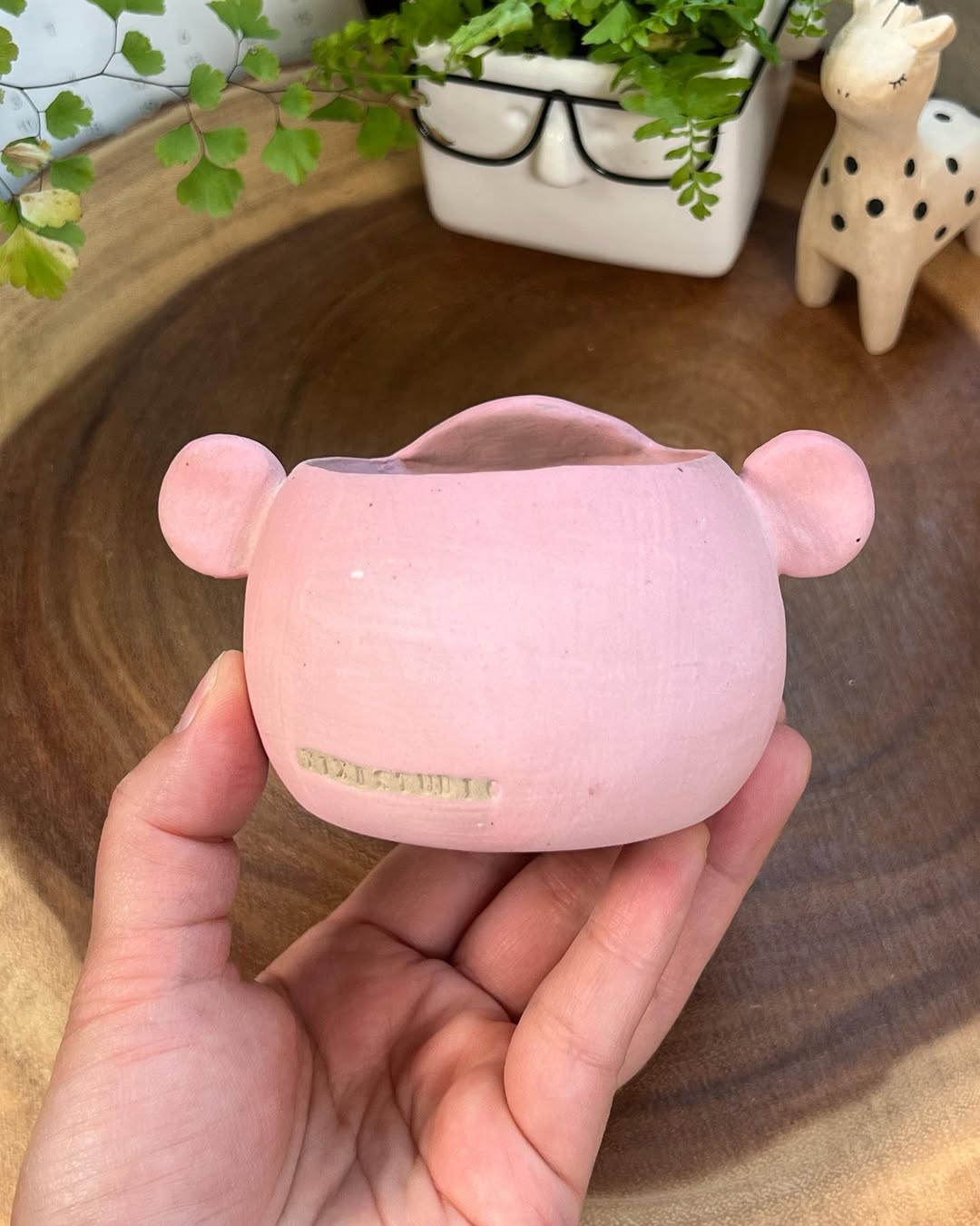 Pink Bear In Disguise- Cat Series Planter