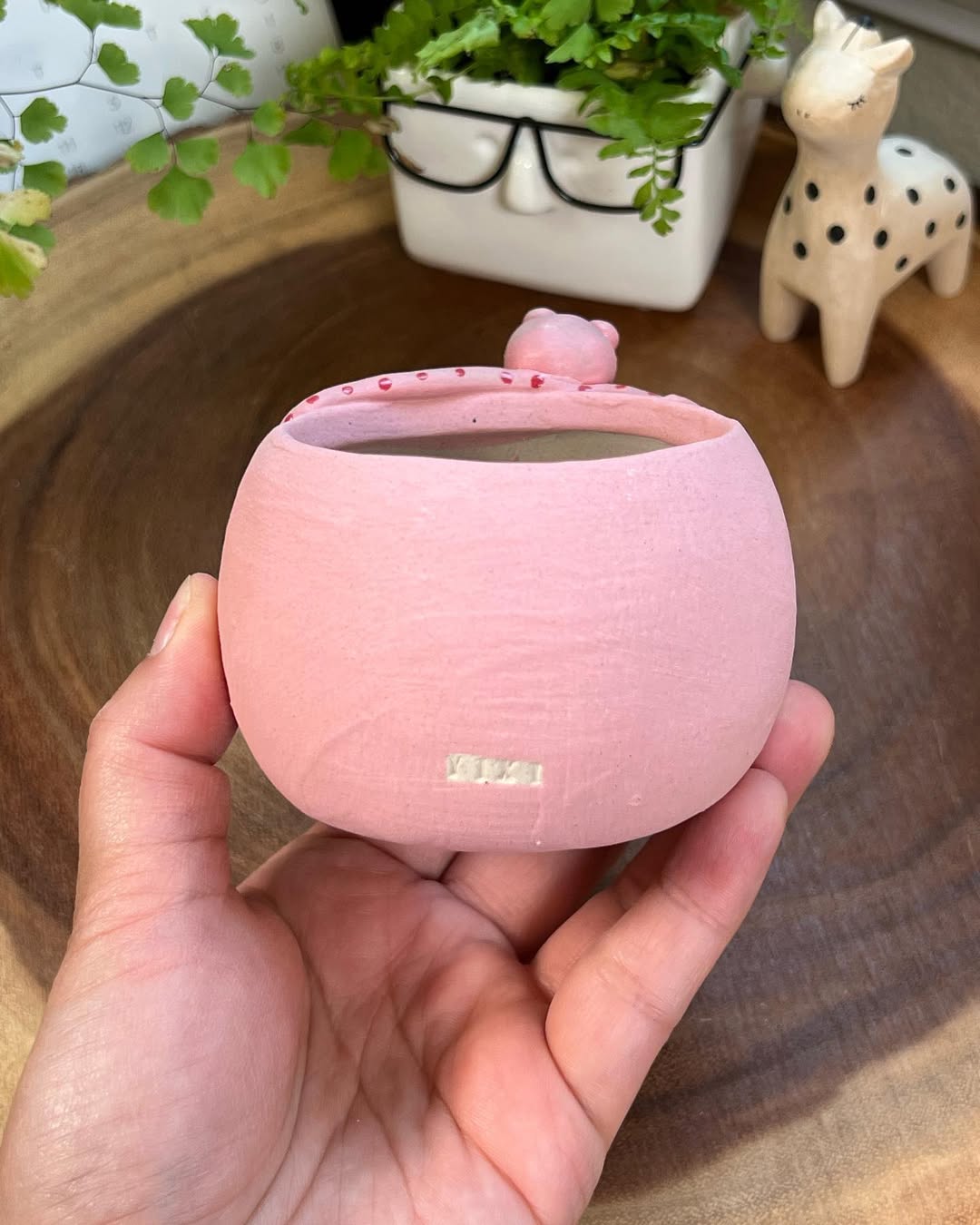 Pink Octopus in Disguise- Cat Series Planter
