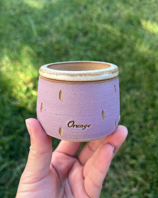 Purple Dino Friend Planter