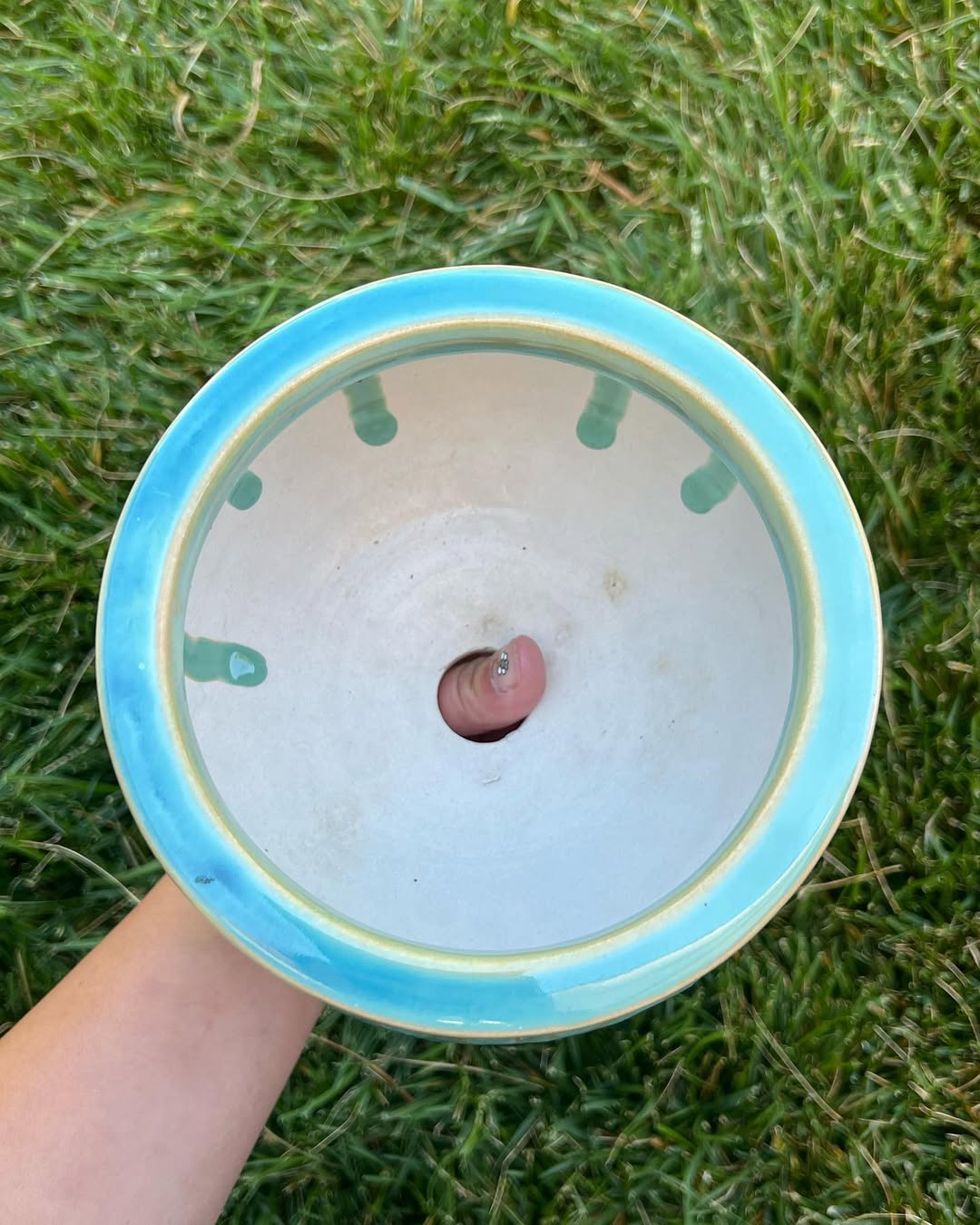 Sky Blue Cat Stamp Pattern Planter