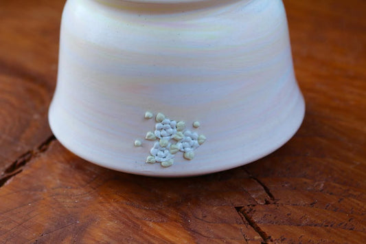 July Classic Pastel White Floral Planter