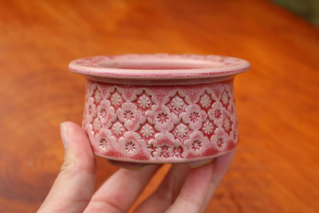Red Lace Edge Pattern Planter