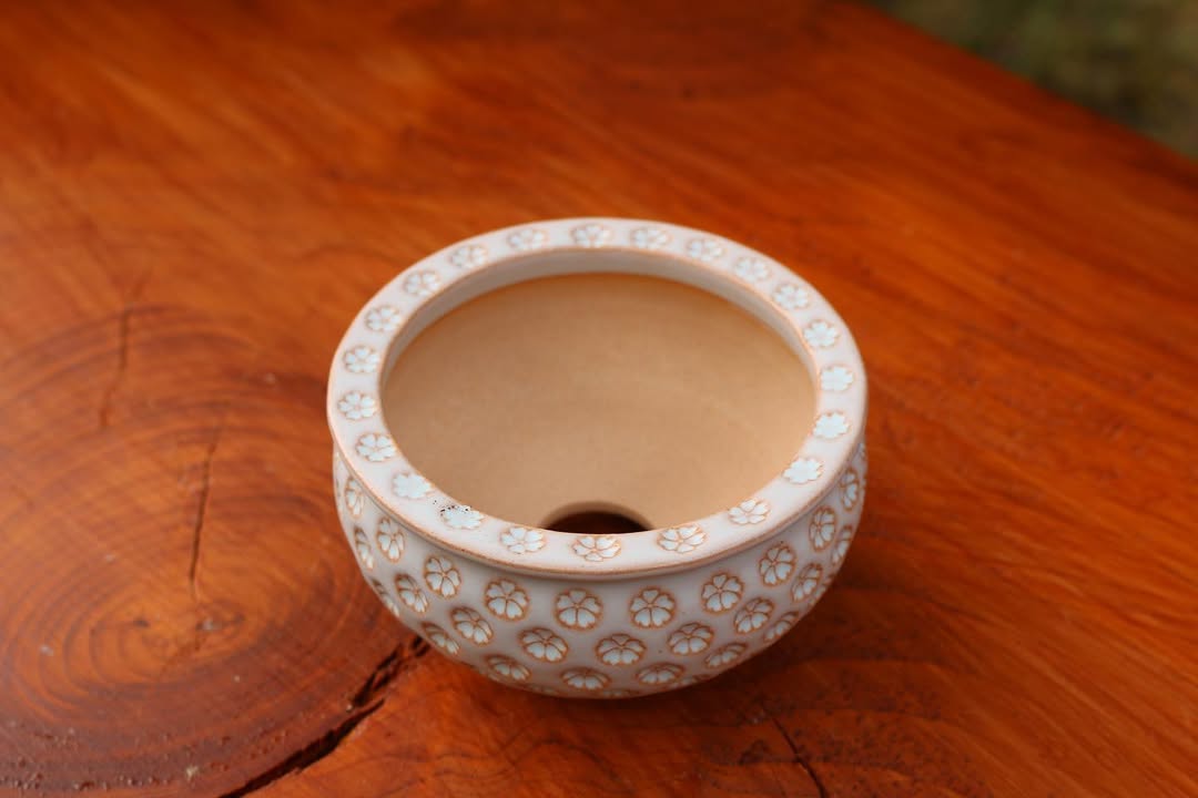 Sakura Bloom Pattern Planter