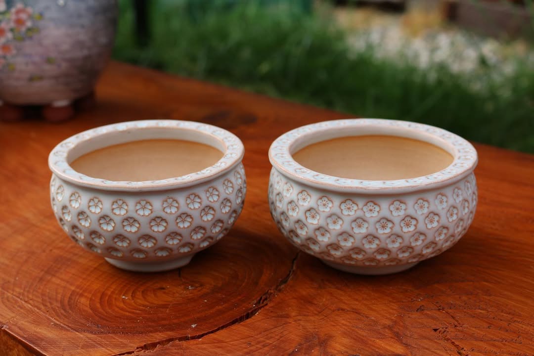 Sakura Bloom Pattern Planter