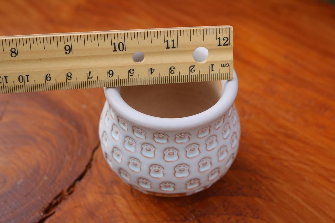 Kitty Paws Pattern Planter