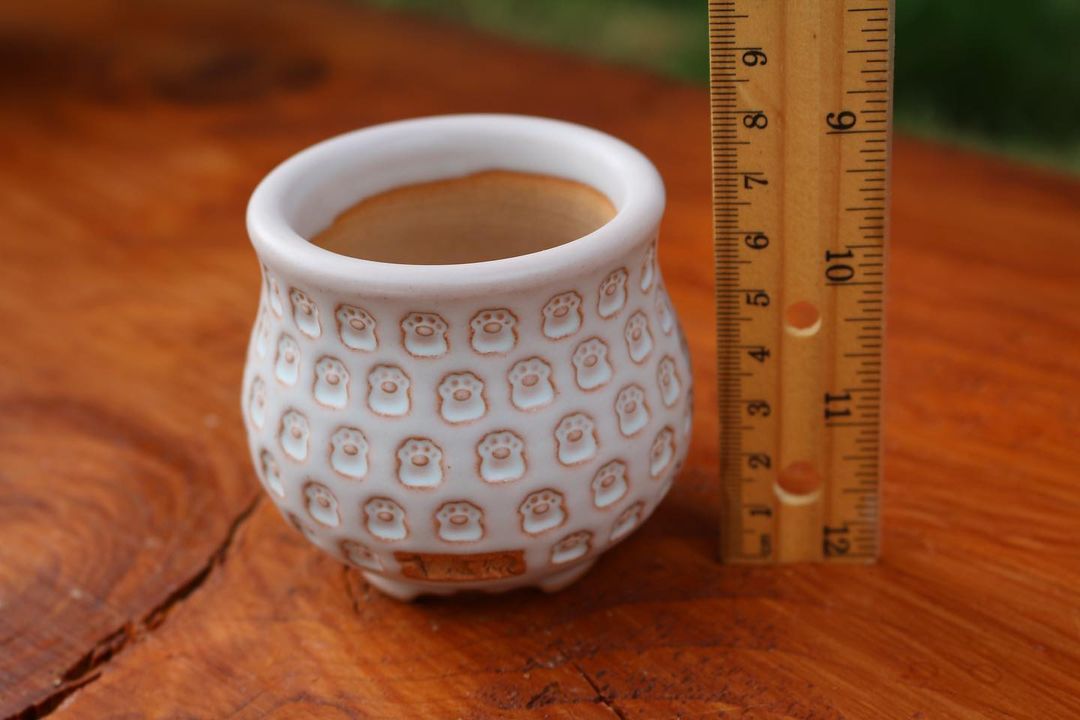 Kitty Paws Pattern Planter