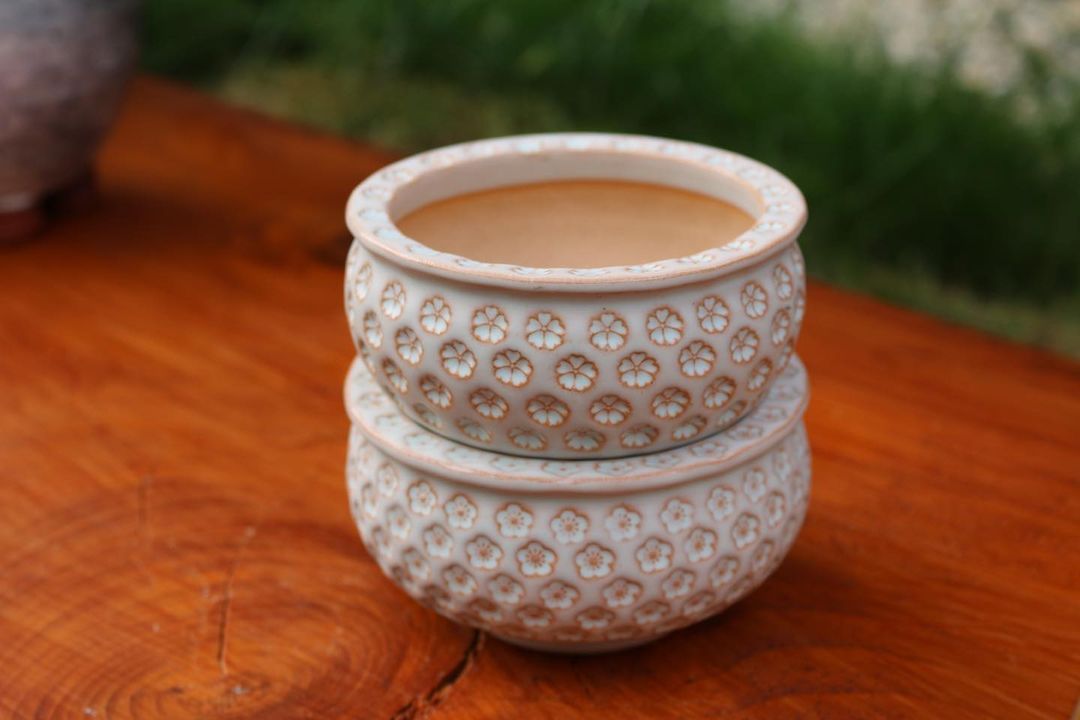 Sakura Bloom Pattern Planter
