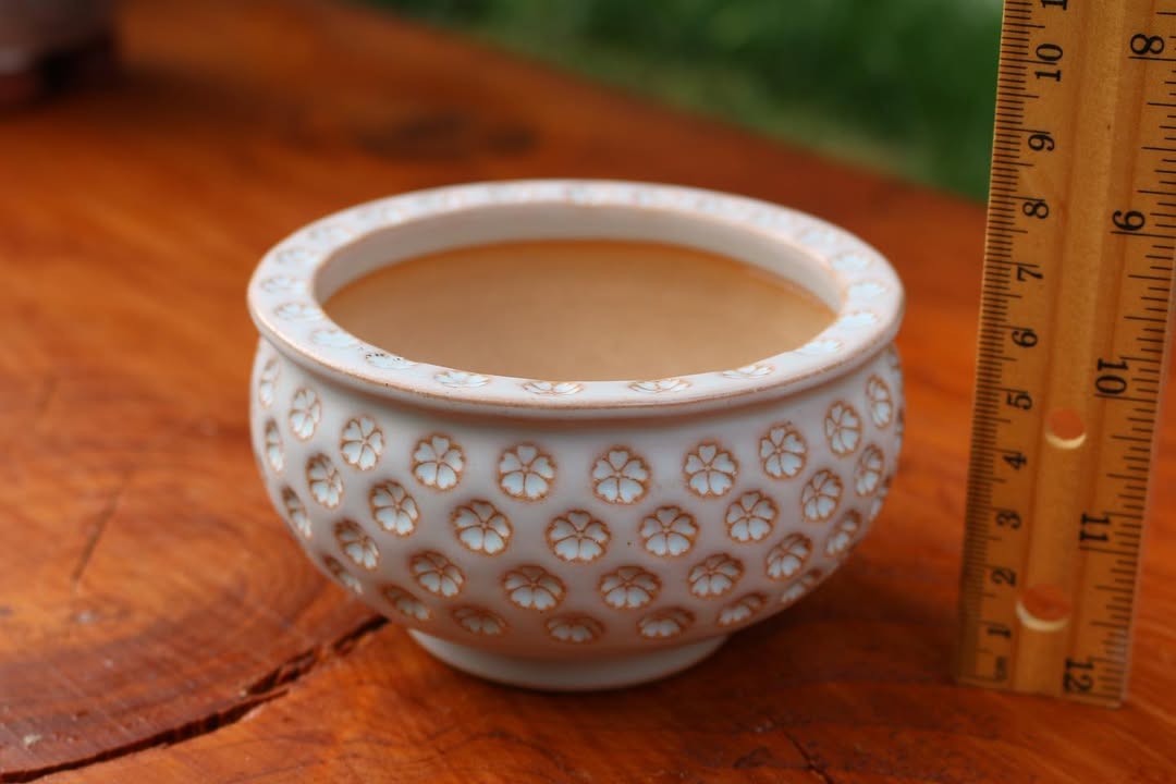 Sakura Bloom Pattern Planter