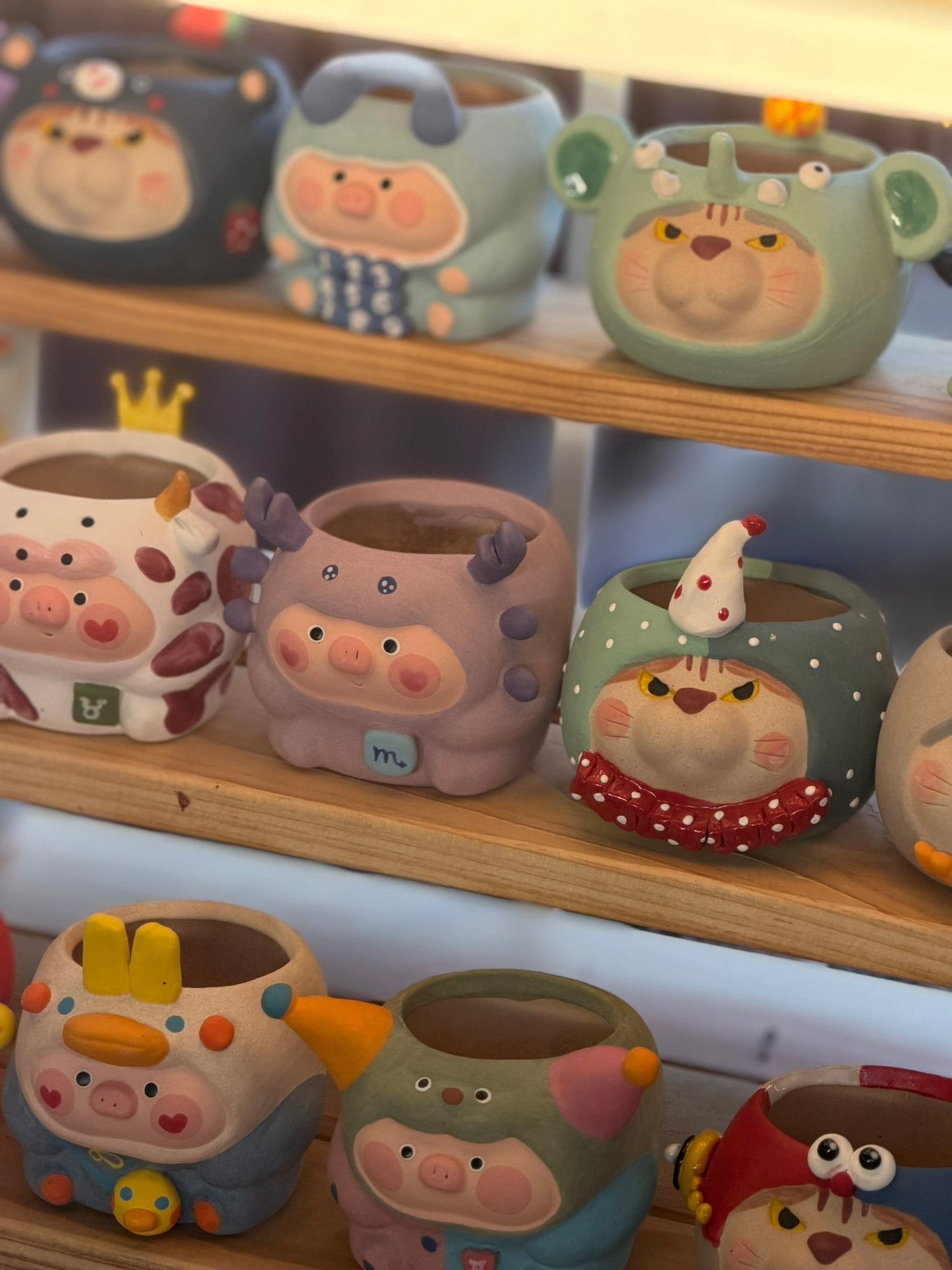 Piggy Pots