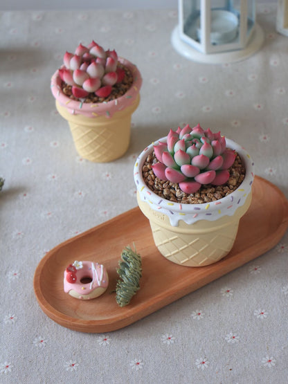 Handmade Ice Cream Cone with Sprinkles succulent planter