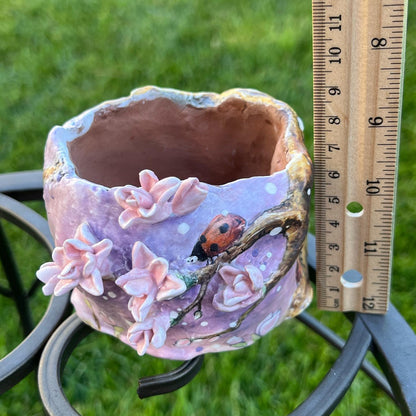 Lavender Pink Saucer Magnolia Tree with Lady Bugs Planter