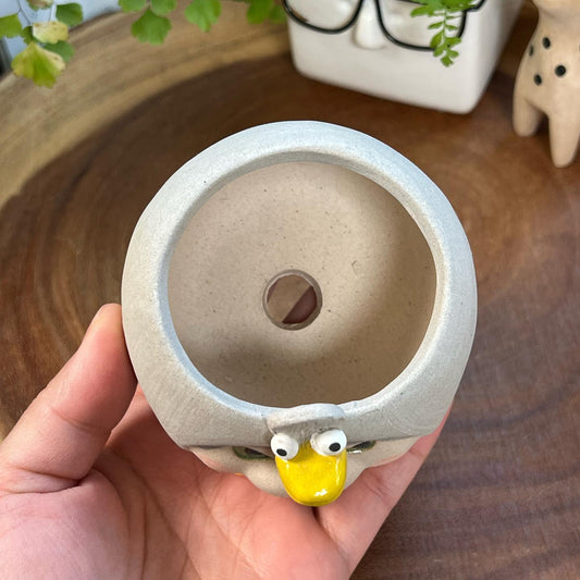Grey Duck in Disguise- Cat Series  Planter