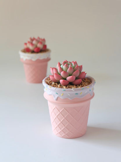 Handmade Ice Cream Cone with Sprinkles succulent planter