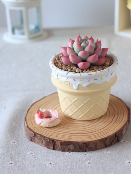 Handmade Ice Cream Cone with Sprinkles succulent planter