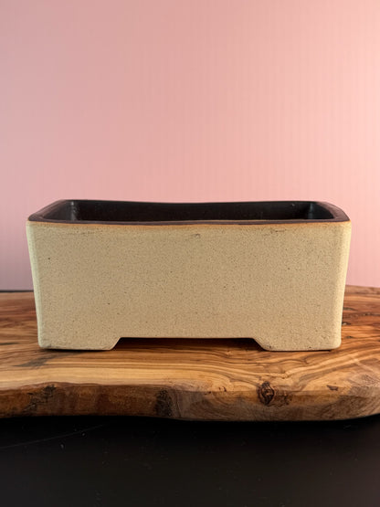 Korean Made Happy Cars - MANGO