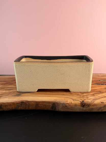 Korean Made Happy Cars - CANDY