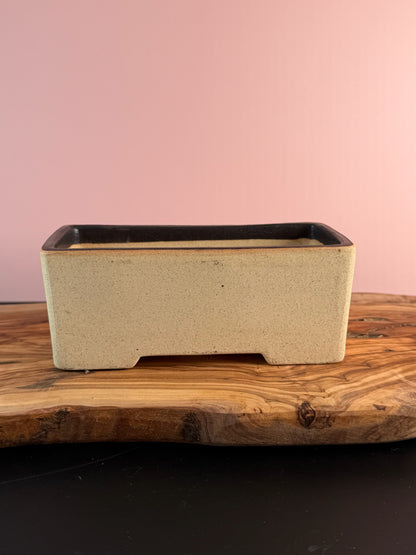 Korean Made Happy Cars - HOTDOG