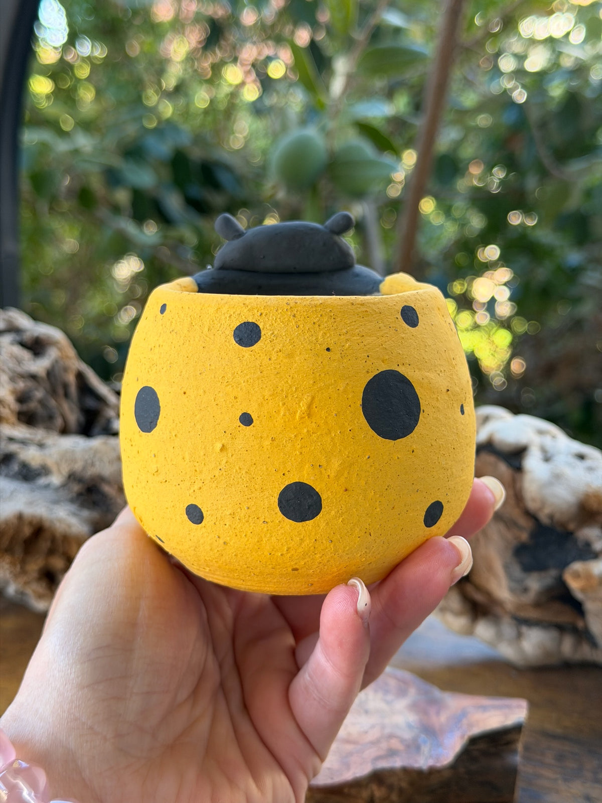 Yan Studio Lady bug piggy - Yellow