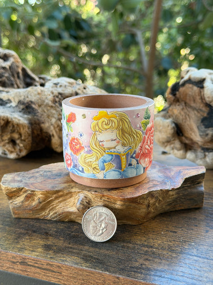 Zhangxin Hand painted Disney Princesses - Auora