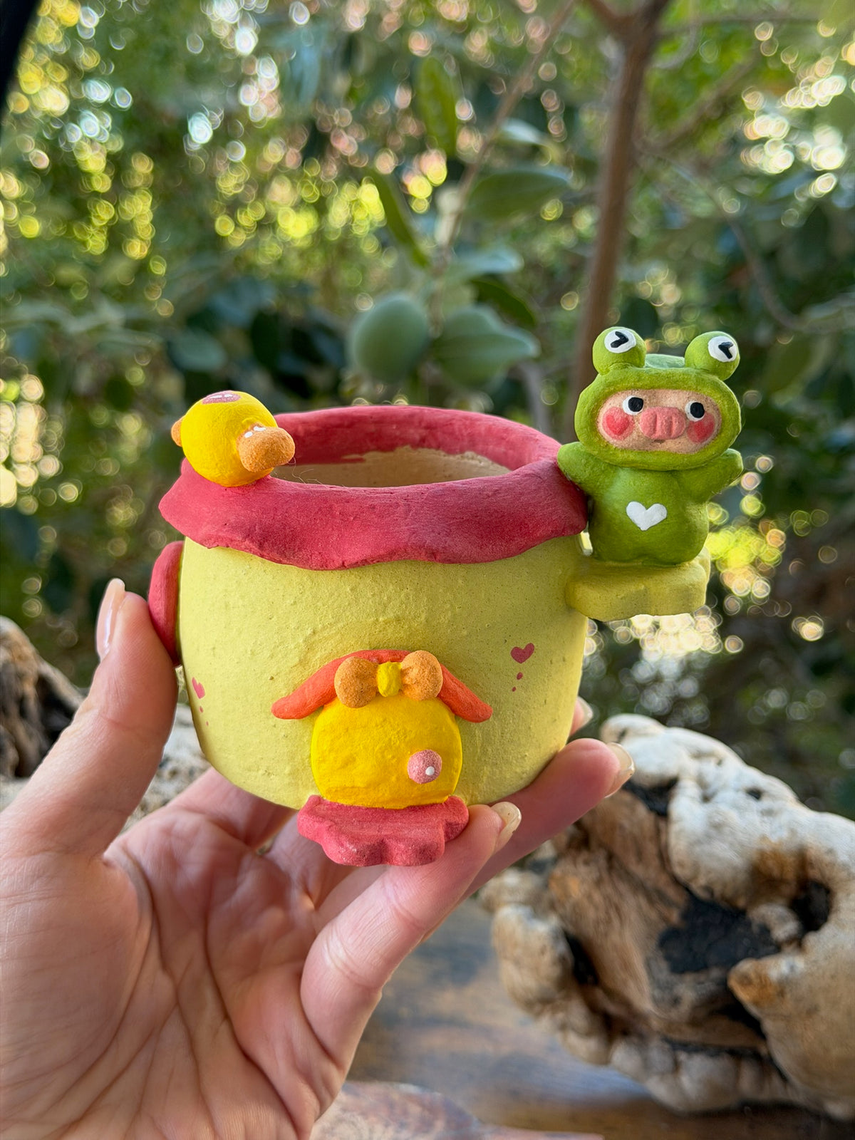 Little Frog House planter